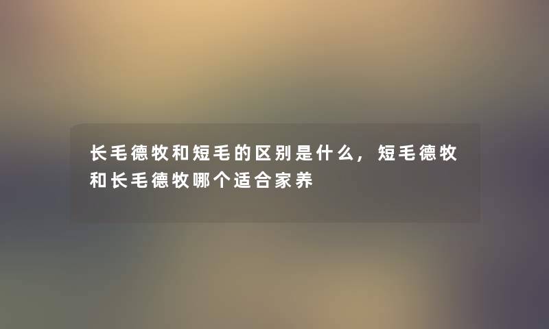 长毛德牧和短毛的区别是什么,短毛德牧和长毛德牧哪个适合家养 长毛德牧和短毛的区别是什么,短毛德牧和长毛德牧哪个适合家养