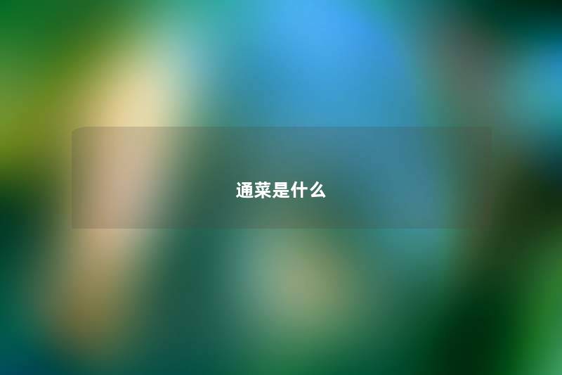 通菜是什么 通菜是什么