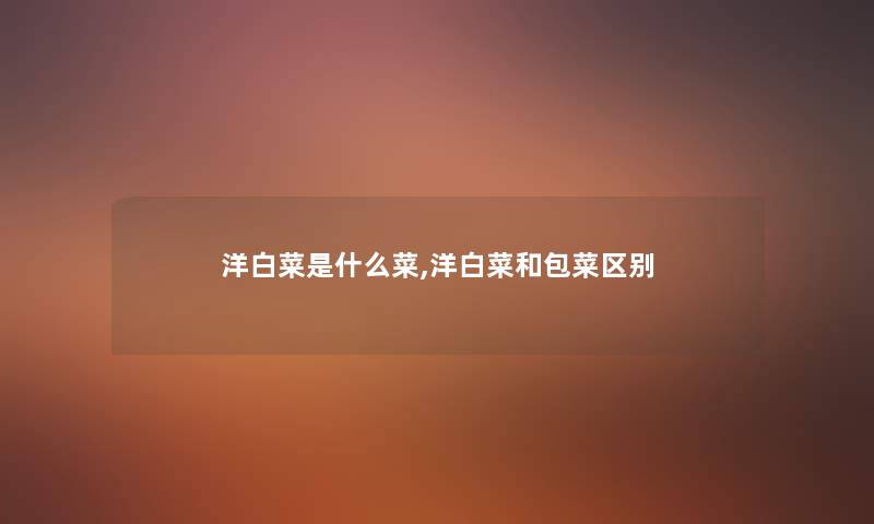 洋白菜是什么菜,洋白菜和包菜区别 洋白菜是什么菜,洋白菜和包菜区别