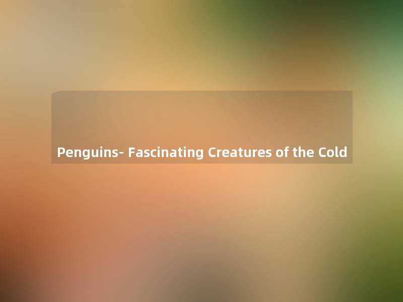 Penguins- Fascinating Creatures of the Cold Penguins- Fascinating Creatures of the Cold