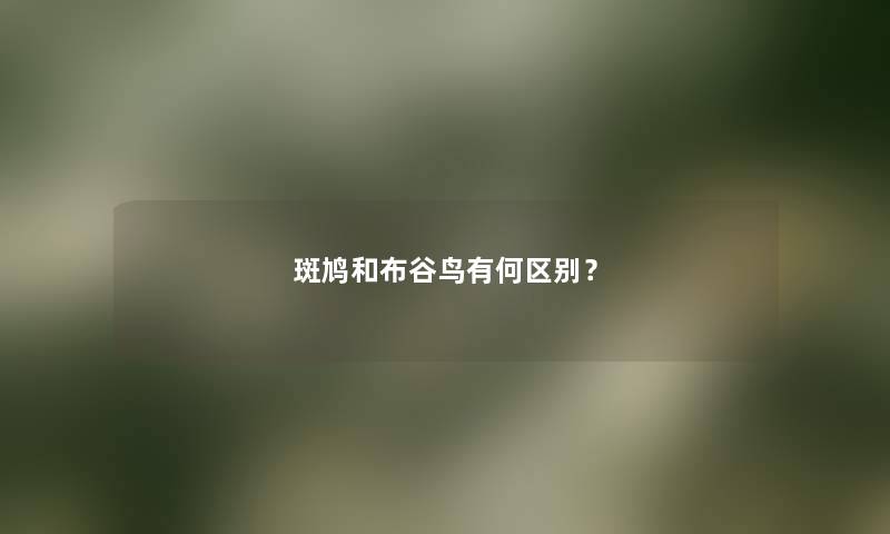 斑鸠和布谷鸟有何区别? 斑鸠和布谷鸟有何区别?