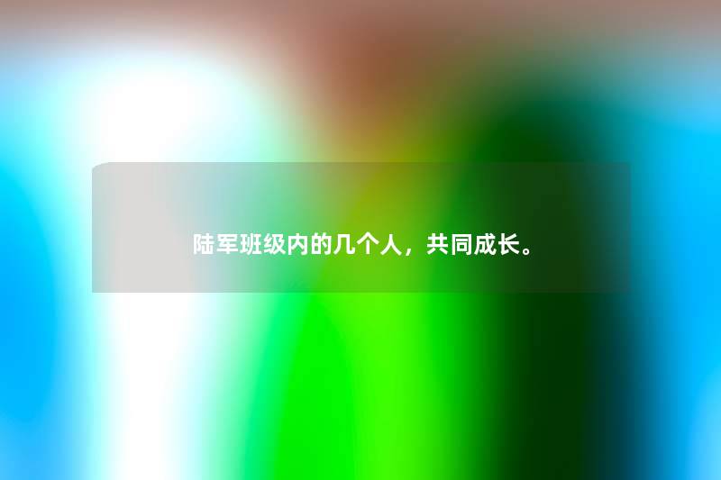 陆军班级内的几个人，共同成长。