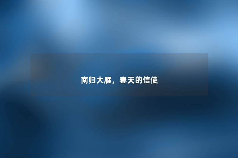 南归大雁，春天的信使