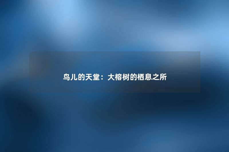 鸟儿的天堂:大榕树的栖息之所 鸟儿的天堂:大榕树的栖息之所