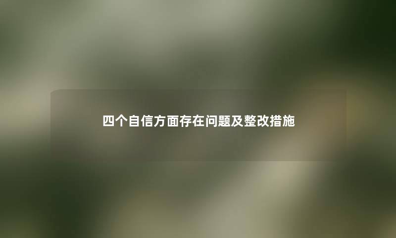 四个自信方面存在问题及整改措施