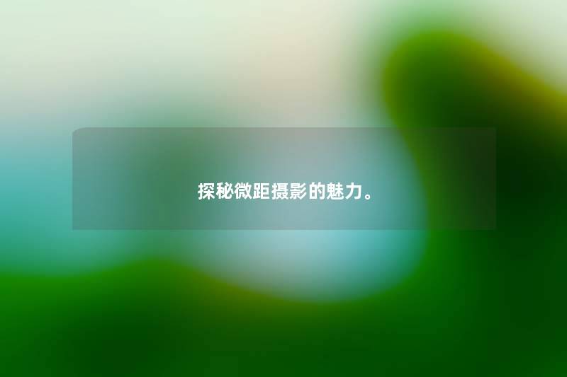 探秘微距摄影的魅力。