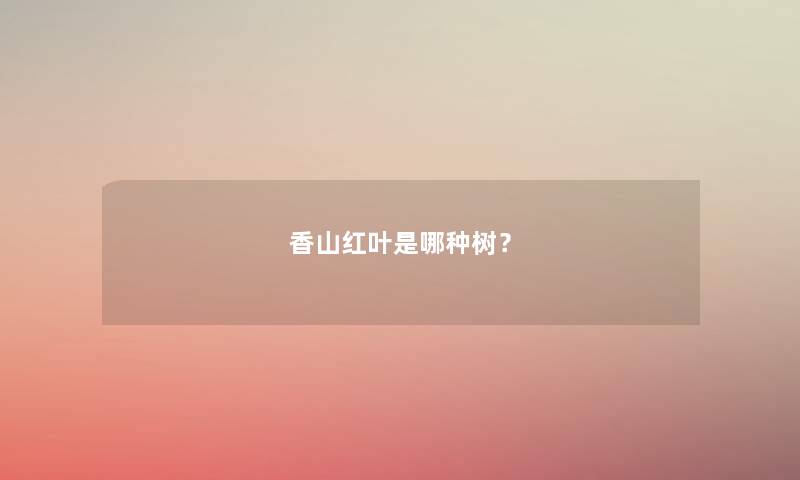 香山红叶是哪种树？