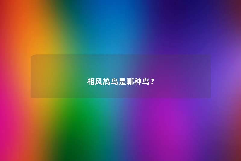 相风鸠鸟是哪种鸟？