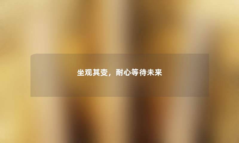 坐观其变，耐心等待未来