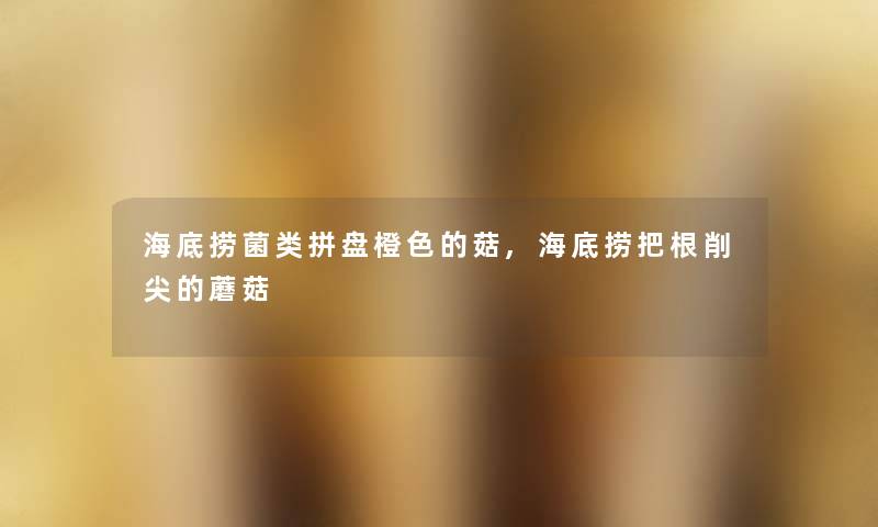 海底捞菌类拼盘橙色的菇,海底捞把根削尖的蘑菇 海底捞菌类拼盘橙色的菇,海底捞把根削尖的蘑菇