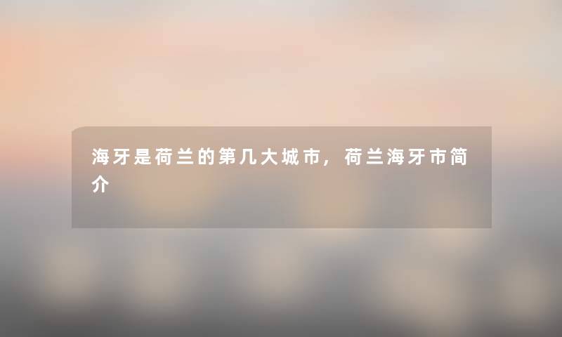 海牙是荷兰的第几大城市,荷兰海牙市简介