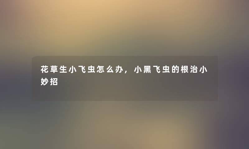 花草生小飞虫怎么办,小黑飞虫的根治小妙招