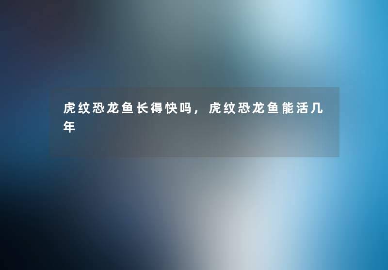 虎纹恐龙鱼长得快吗,虎纹恐龙鱼能活几年 虎纹恐龙鱼长得快吗,虎纹恐龙鱼能活几年