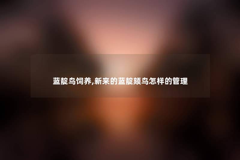 蓝靛鸟饲养,新来的蓝靛颏鸟怎样的管理 蓝靛鸟饲养,新来的蓝靛颏鸟怎样的管理