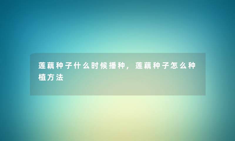 莲藕种子什么时候播种,莲藕种子怎么种植方法 莲藕种子什么时候播种,莲藕种子怎么种植方法