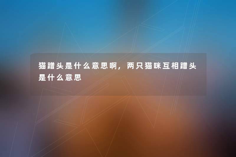 猫蹭头是什么意思啊,两只猫咪互相蹭头是什么意思 猫蹭头是什么意思啊,两只猫咪互相蹭头是什么意思