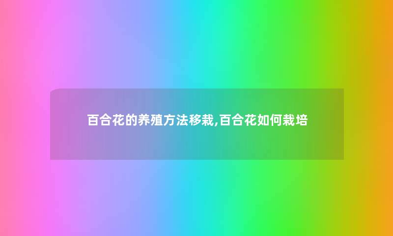 百合花的养殖方法移栽,百合花如何栽培 百合花的养殖方法移栽,百合花如何栽培