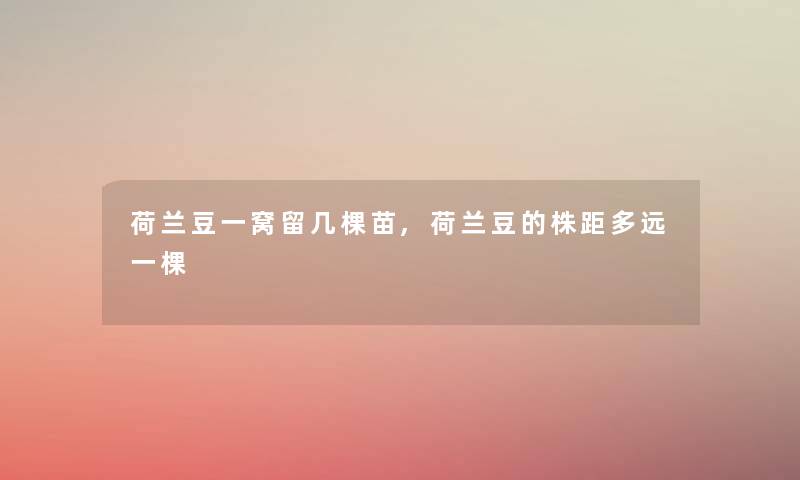 荷兰豆一窝留几棵苗,荷兰豆的株距多远一棵 荷兰豆一窝留几棵苗,荷兰豆的株距多远一棵