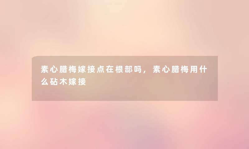 素心腊梅嫁接点在根部吗,素心腊梅用什么砧木嫁接 素心腊梅嫁接点在根部吗,素心腊梅用什么砧木嫁接