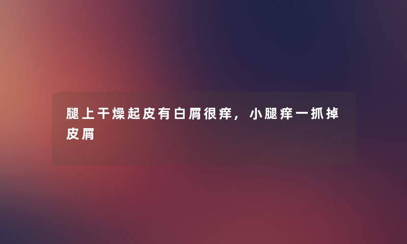 腿上干燥起皮有白屑很痒,小腿痒一抓掉皮屑 腿上干燥起皮有白屑很痒,小腿痒一抓掉皮屑