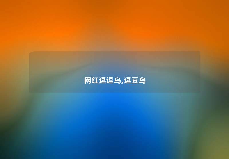 网红逗逗鸟,逗豆鸟 网红逗逗鸟,逗豆鸟