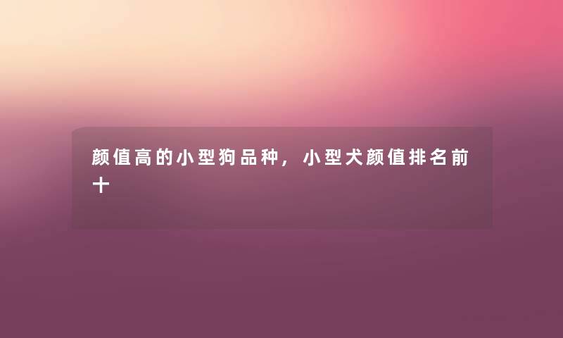 颜值高的小型狗品种,小型犬颜值推荐前十 颜值高的小型狗品种,小型犬颜值推荐前十