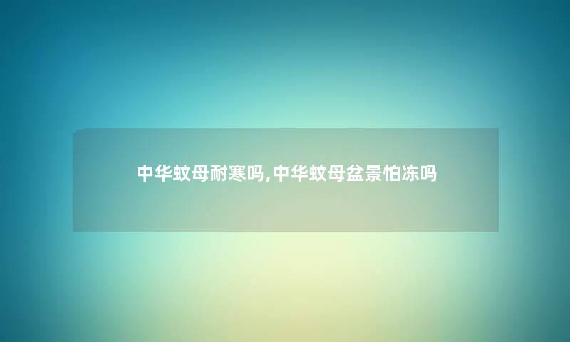 中华蚊母耐寒吗,中华蚊母盆景怕冻吗 中华蚊母耐寒吗,中华蚊母盆景怕冻吗