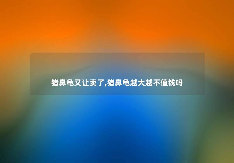 猪鼻龟又让卖了,猪鼻龟越大越不值钱吗 猪鼻龟又让卖了,猪鼻龟越大越不值钱吗