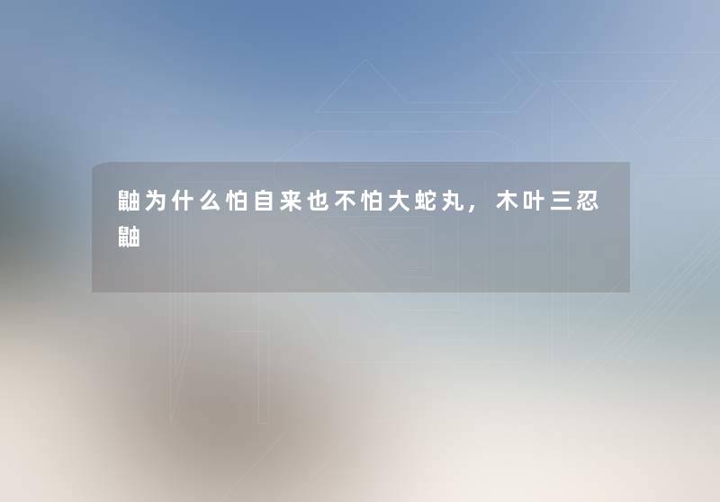 鼬为什么怕自来也不怕大蛇丸,木叶三忍鼬 鼬为什么怕自来也不怕大蛇丸,木叶三忍鼬