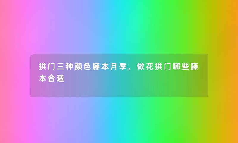 拱门三种颜色藤本月季,做花拱门哪些藤本合适 拱门三种颜色藤本月季,做花拱门哪些藤本合适