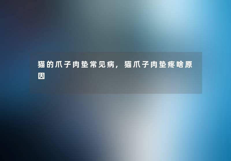 猫的爪子肉垫常见病,猫爪子肉垫疼啥原因 猫的爪子肉垫常见病,猫爪子肉垫疼啥原因