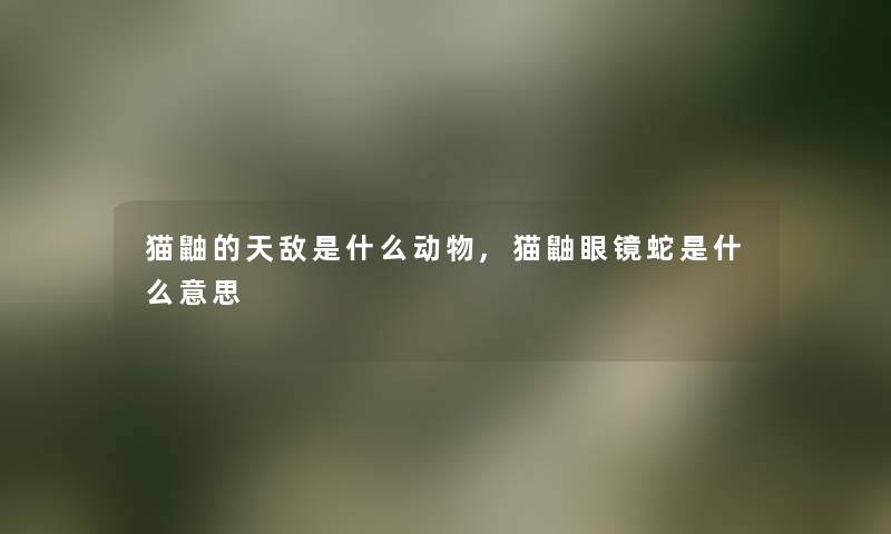 猫鼬的天敌是什么动物,猫鼬眼镜蛇是什么意思 猫鼬的天敌是什么动物,猫鼬眼镜蛇是什么意思