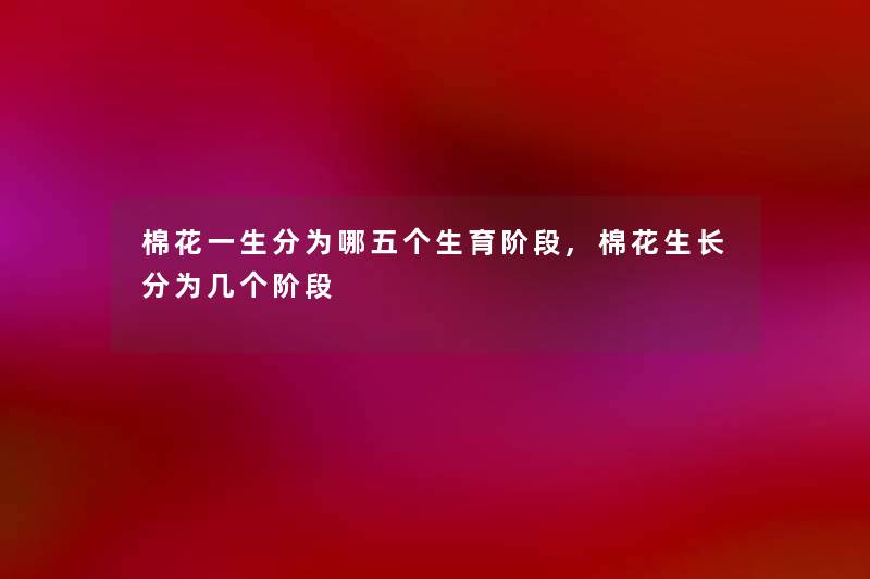 棉花一生分为哪五个生育阶段,棉花生长分为几个阶段 棉花一生分为哪五个生育阶段,棉花生长分为几个阶段
