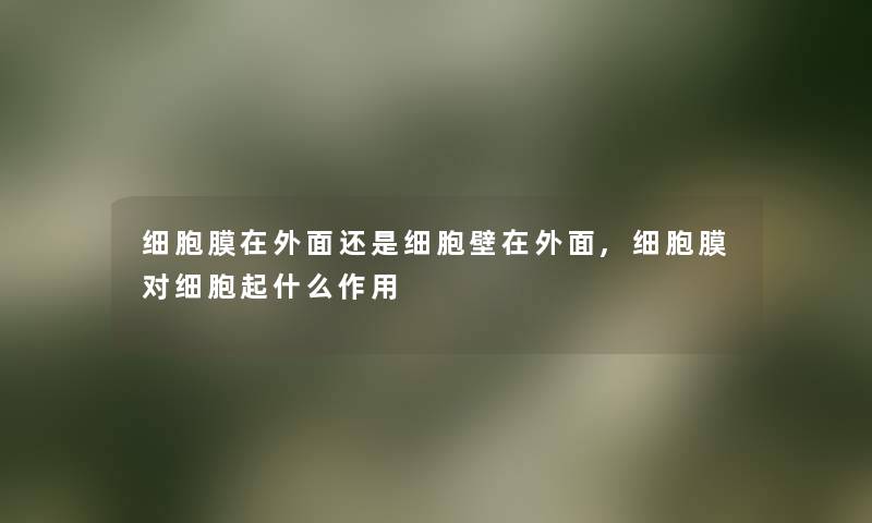 细胞膜在外面还是细胞壁在外面,细胞膜对细胞起什么作用 细胞膜在外面还是细胞壁在外面,细胞膜对细胞起什么作用