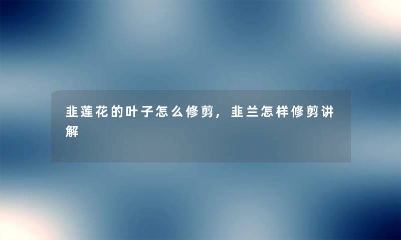 韭莲花的叶子怎么修剪,韭兰怎样修剪讲解 韭莲花的叶子怎么修剪,韭兰怎样修剪讲解