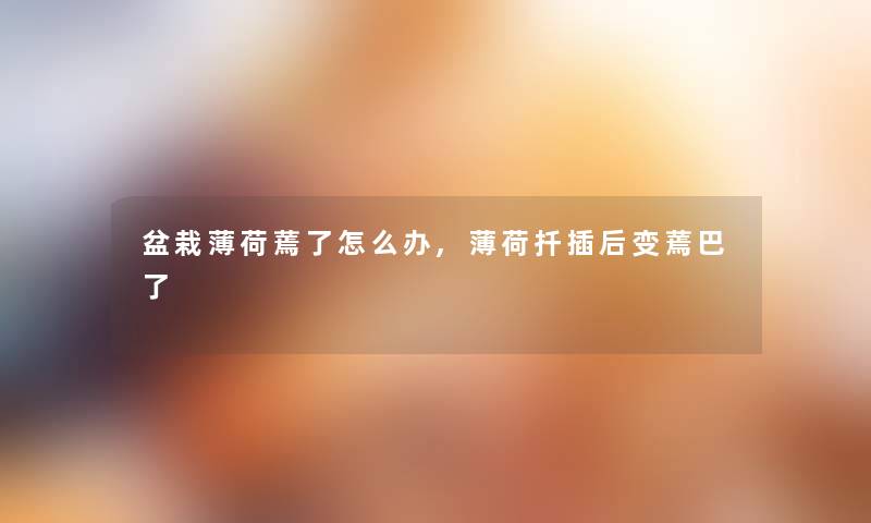 盆栽薄荷蔫了怎么办,薄荷扦插后变蔫巴了 盆栽薄荷蔫了怎么办,薄荷扦插后变蔫巴了