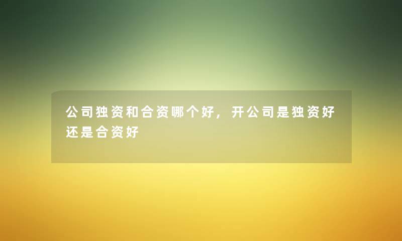 公司独资和合资哪个好,开公司是独资好还是合资好