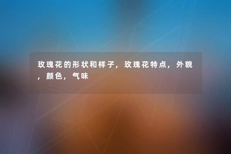 玫瑰花的形状和样子,玫瑰花特点,外貌,颜色,气味