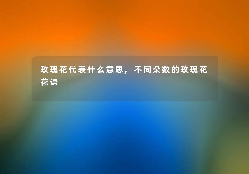 玫瑰花代表什么意思,不同朵数的玫瑰花花语