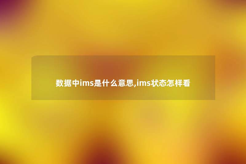 数据中ims是什么意思,ims状态怎样看