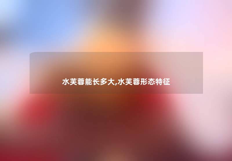 水芙蓉能长多大,水芙蓉形态特征 水芙蓉能长多大,水芙蓉形态特征