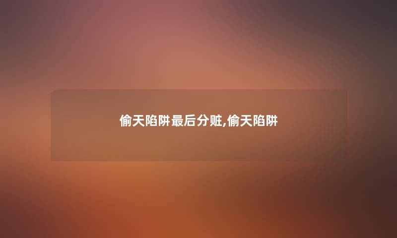 偷天陷阱这里要说分赃,偷天陷阱 偷天陷阱这里要说分赃,偷天陷阱