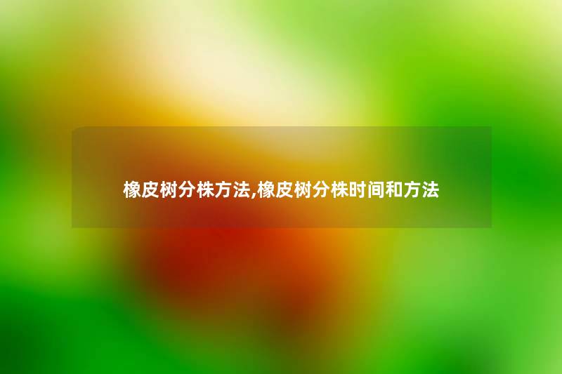 橡皮树分株方法,橡皮树分株时间和方法 橡皮树分株方法,橡皮树分株时间和方法
