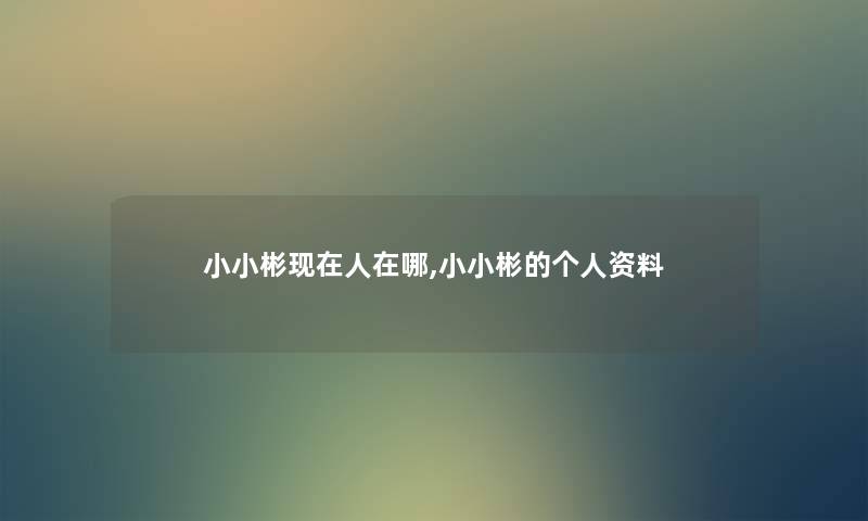 小小彬人在哪,小小彬的个人资料 小小彬人在哪,小小彬的个人资料