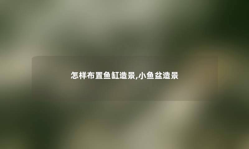 怎样布置鱼缸造景,小鱼盆造景