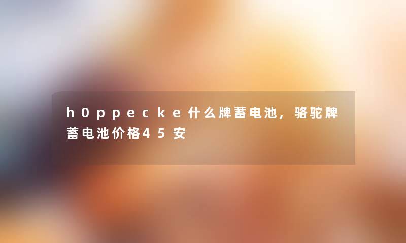 h0ppecke什么牌蓄电池,骆驼牌蓄电池价格45安