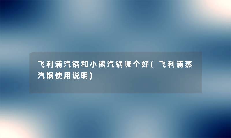 飞利浦汽锅和小熊汽锅哪个好(飞利浦蒸汽锅使用说明)