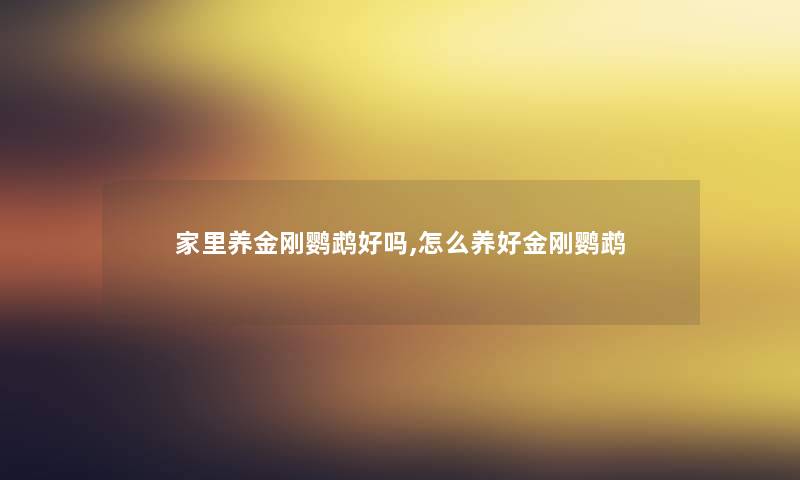 家里养金刚鹦鹉好吗,怎么养好金刚鹦鹉