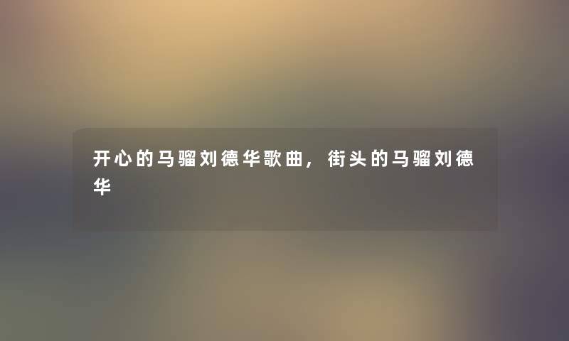 开心的马骝刘德华歌曲,街头的马骝刘德华