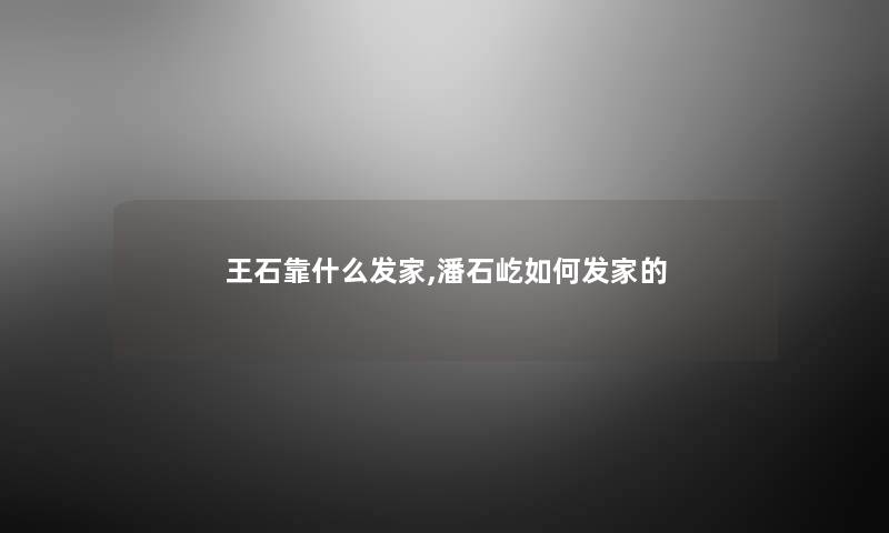王石靠什么发家,潘石屹如何发家的